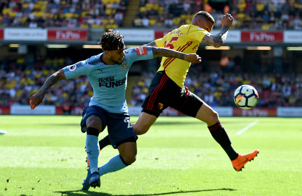 帕利尼亚能 帕利尼亚能